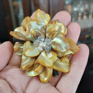 Dyed Shell Cluster Flower Art Crafting Embellishment